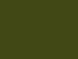 Dark Army Green Color Chip